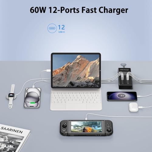 Twelve port 60W desktop USB C hub — photo 3